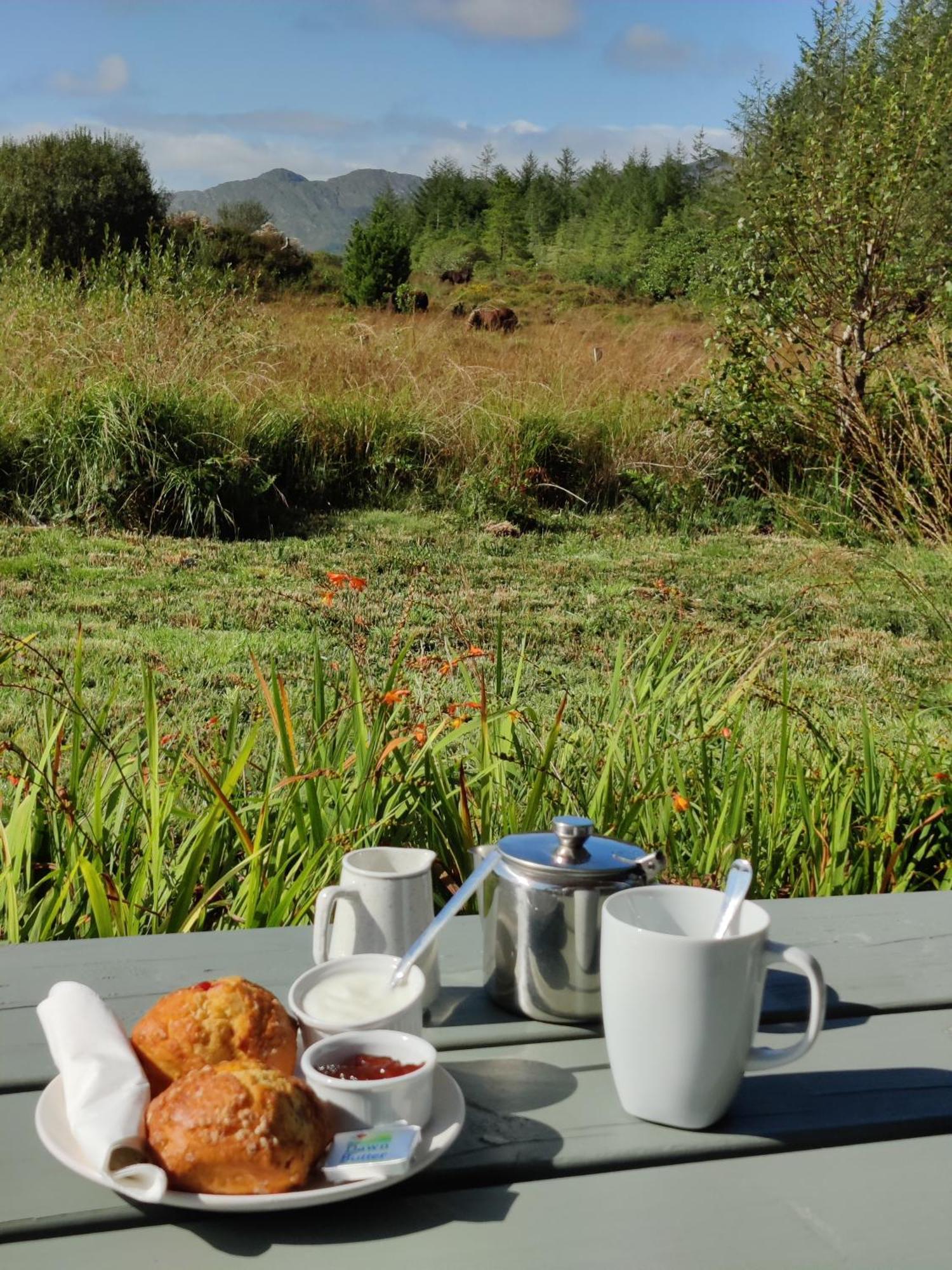 Alaind Lodges, Sneem Dış mekan fotoğraf
